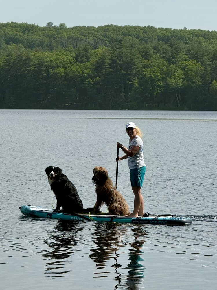 A person paddleboarding across a calm lake with two dogs sitting at the front of the board