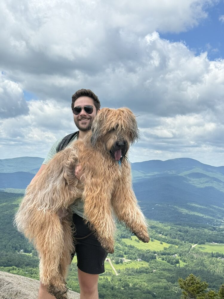 Teddy the Briard being held aloft on a mountain summit with green ridgelines stretching behind